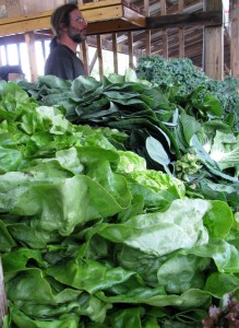 2009.6.13.EMF Early Morning Farm's first CSA pickup of the year
