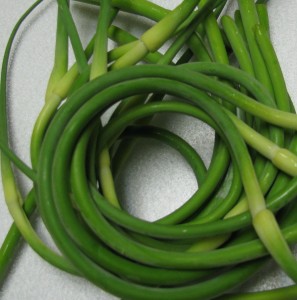 img_0833-1 Garlic scapes