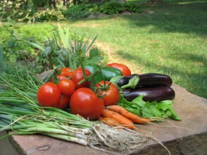 Summer Bounty at the Homestead